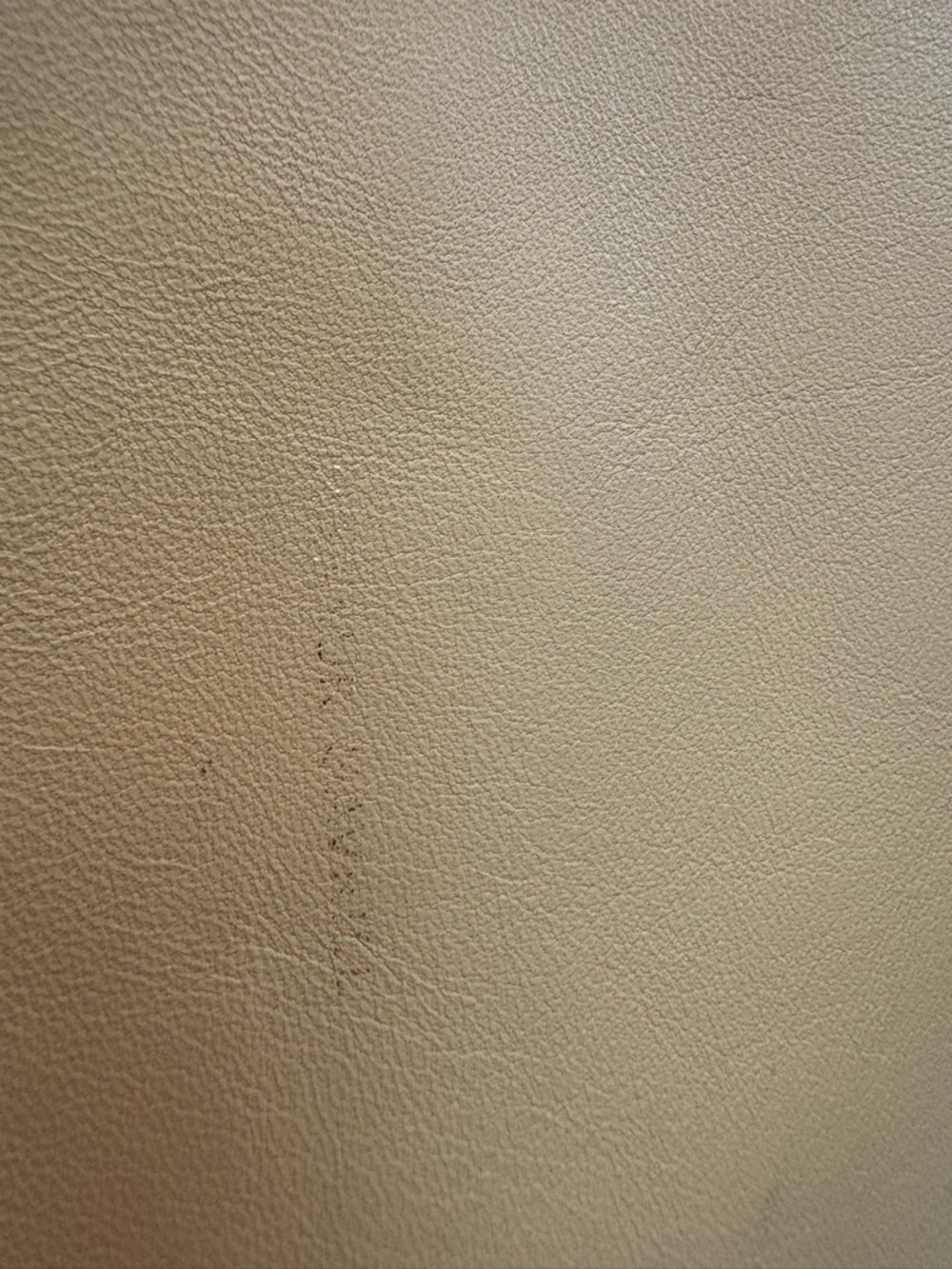 Mansur Gavriel Mustard Yellow Leather Cloud Clutch - Picture 6 of 10